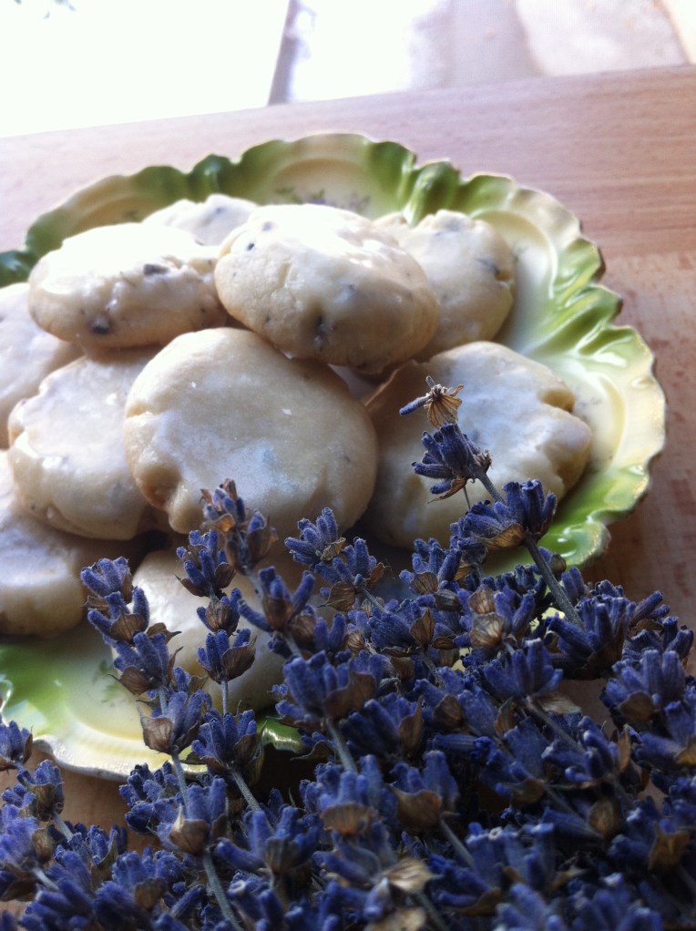 Magic awaits! Glazed lavender shortbread