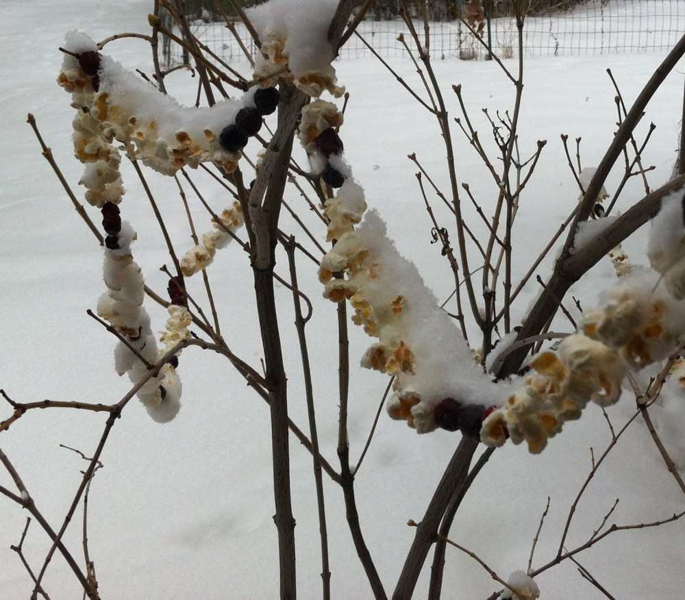 "popcorn and cranberry garland swinging forlornly