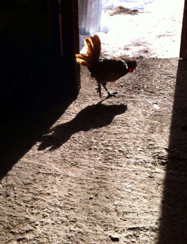 "he slowly made his way back out the door"