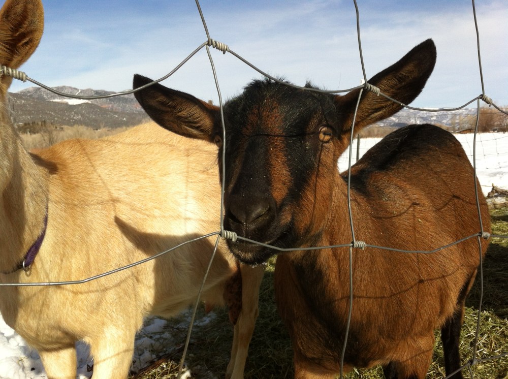 it was a gorgeous cold day