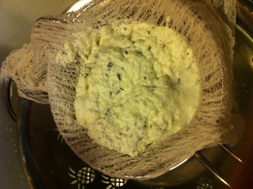 straining the curds and whey