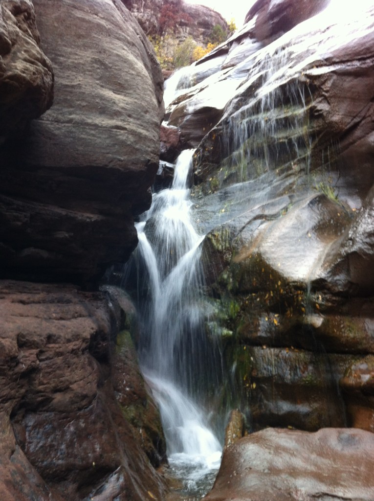 Agua mi sangre - Water my blood