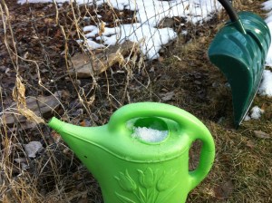watering can stuffed with snow for tomorrows seeds
