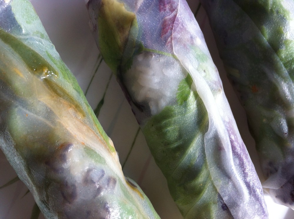the translucent magic of spring rolls