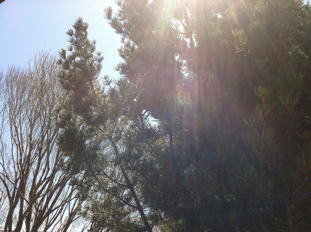 early morning Mother's Day in Denver