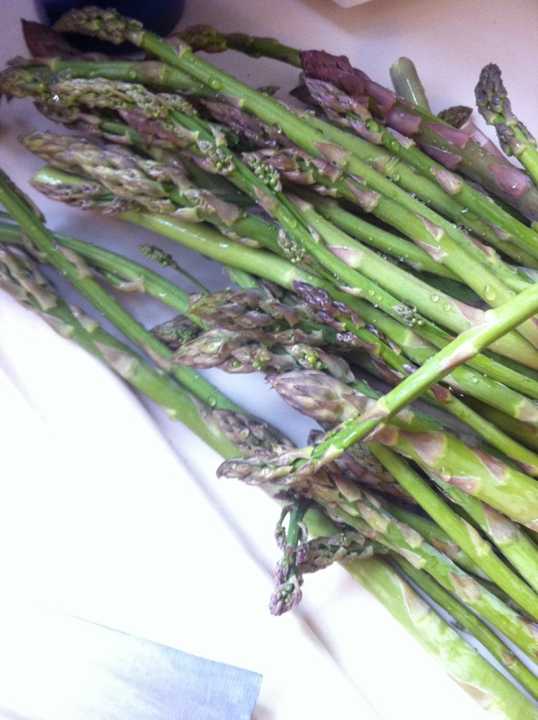 the haul - wild asparagus a'plenty