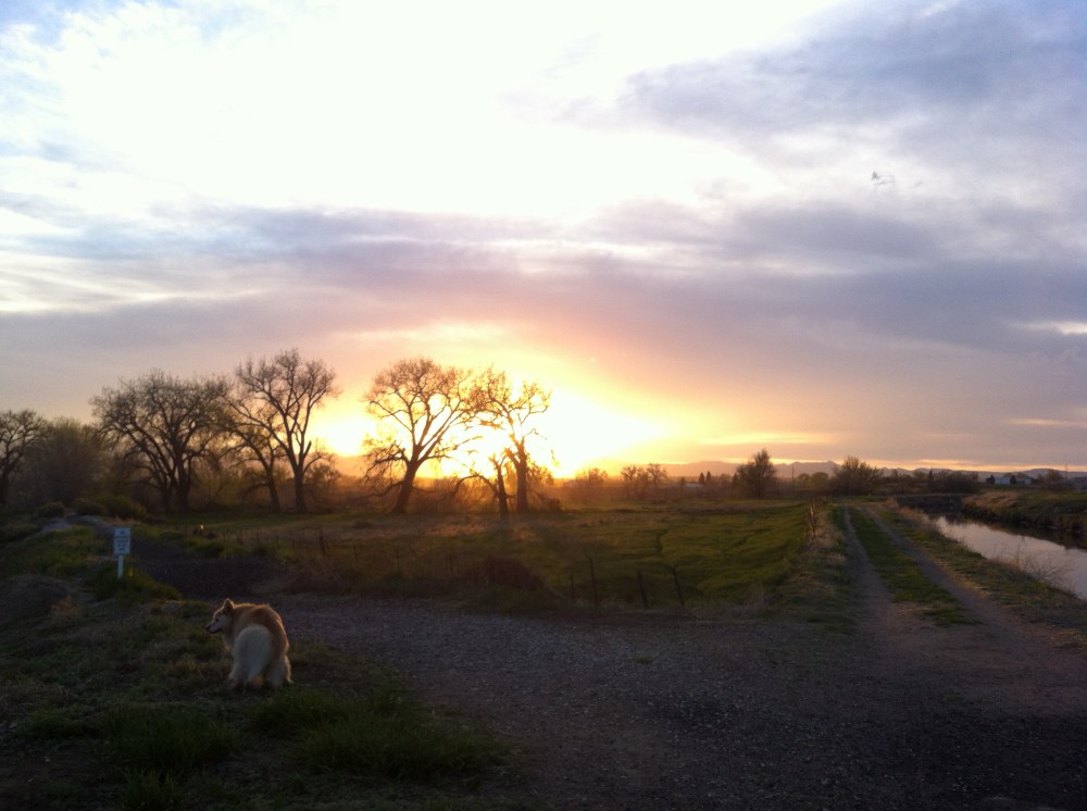 sunset on the meadow with Simon and Loui