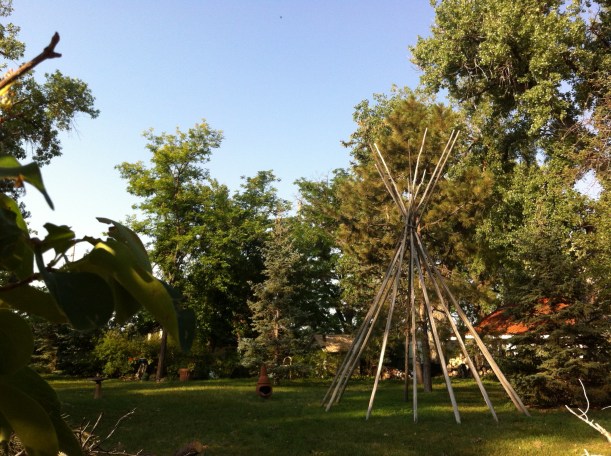 front yard of my new home, shared with dear friends