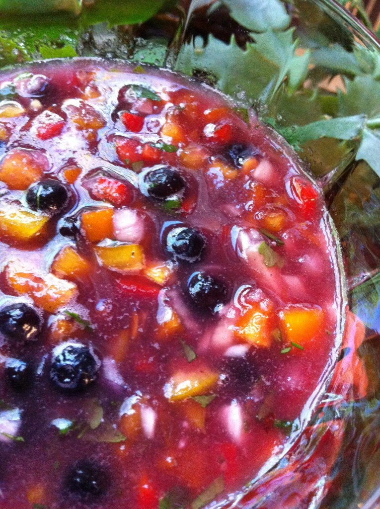 Watermelon Blueberry Gazpacho