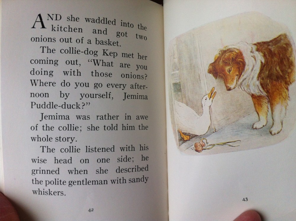 Jemima Puddle-Duck and the onions she does NOT get eaten with