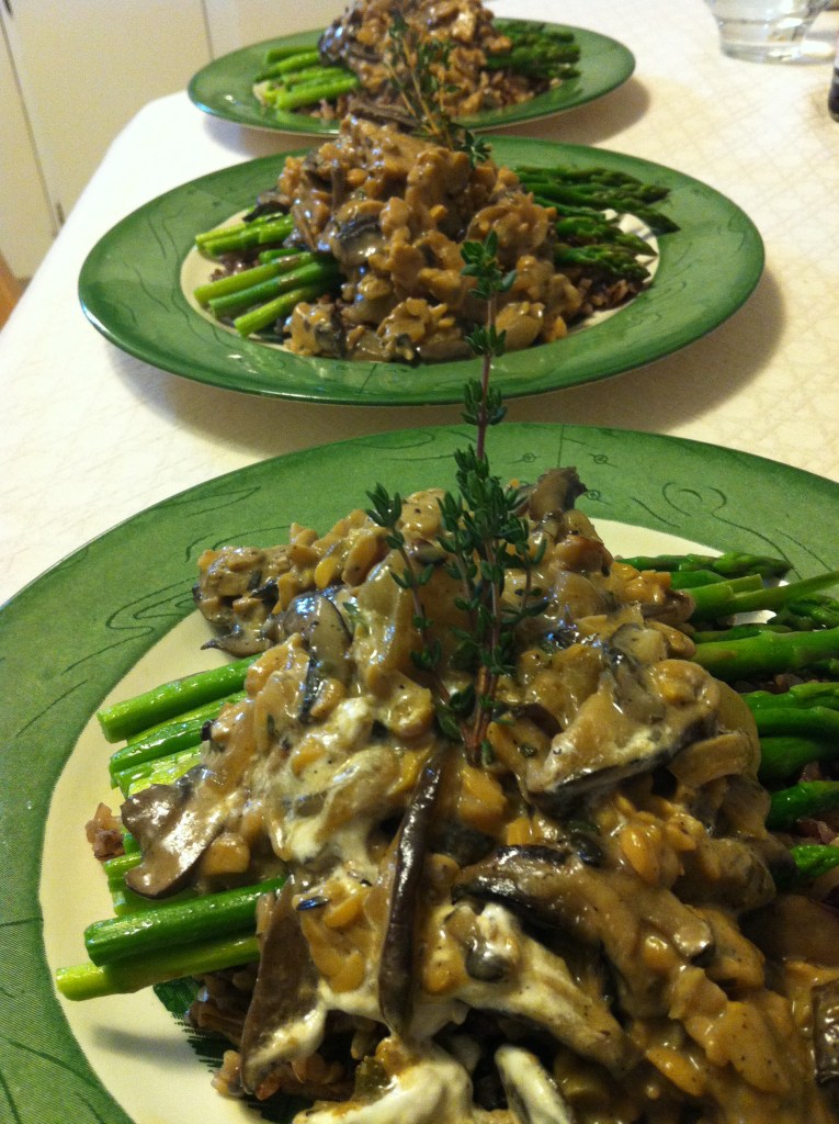 Tempeh and Wild Mushroom Stroganoff