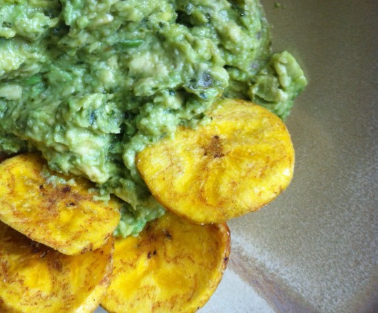 Inka Chips with Quechuan Style Avocado Dip