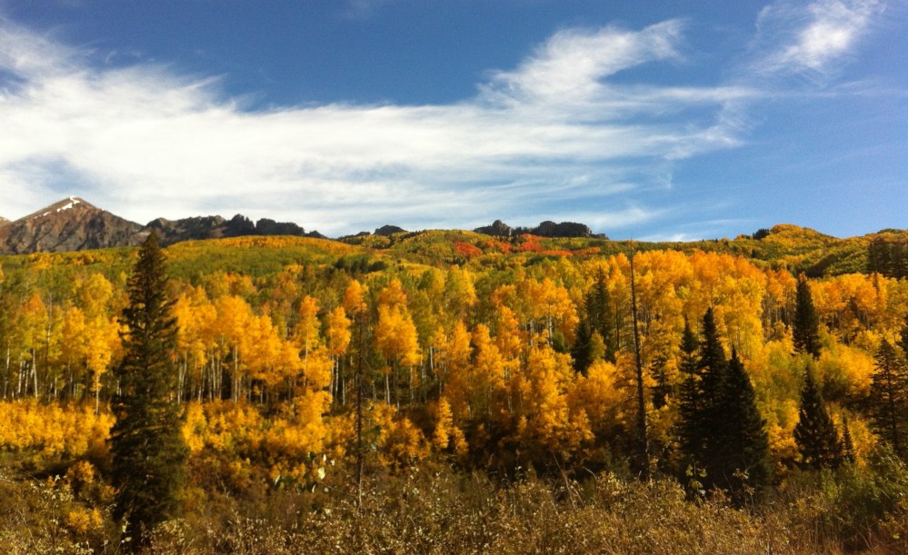 Elixir for the eyes.