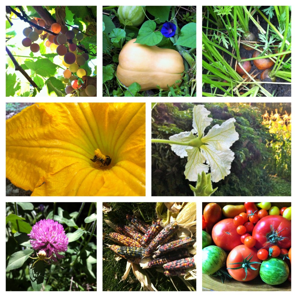 In the Garden note card mosaic