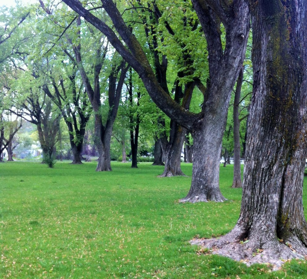 walking beneath giants