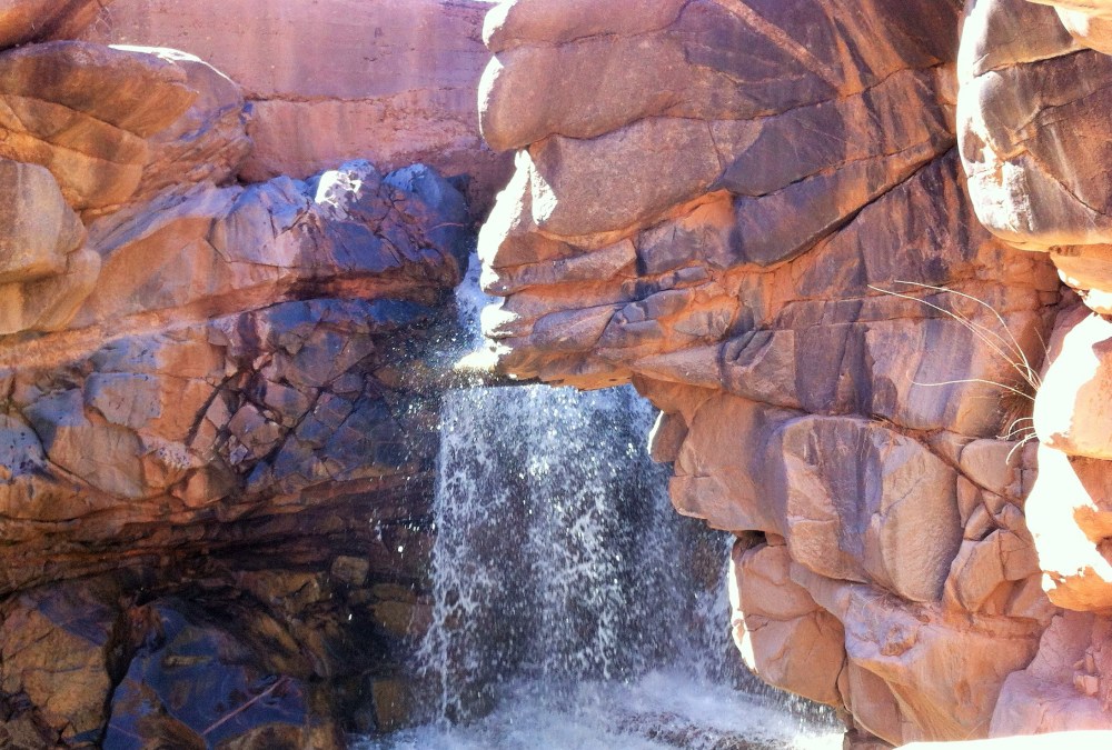 the Ancient Ones still love the waters there, in Dominguez Canyon