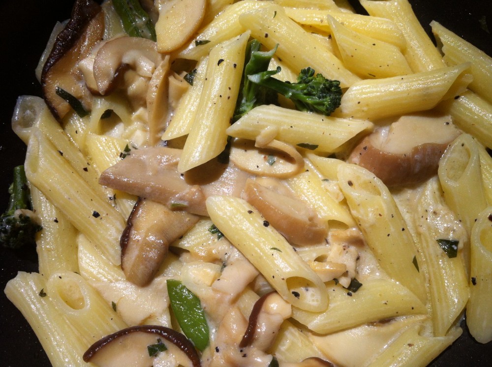 Porcini (King Bolete) and Penne with Champagne Chevre Cream Sauce