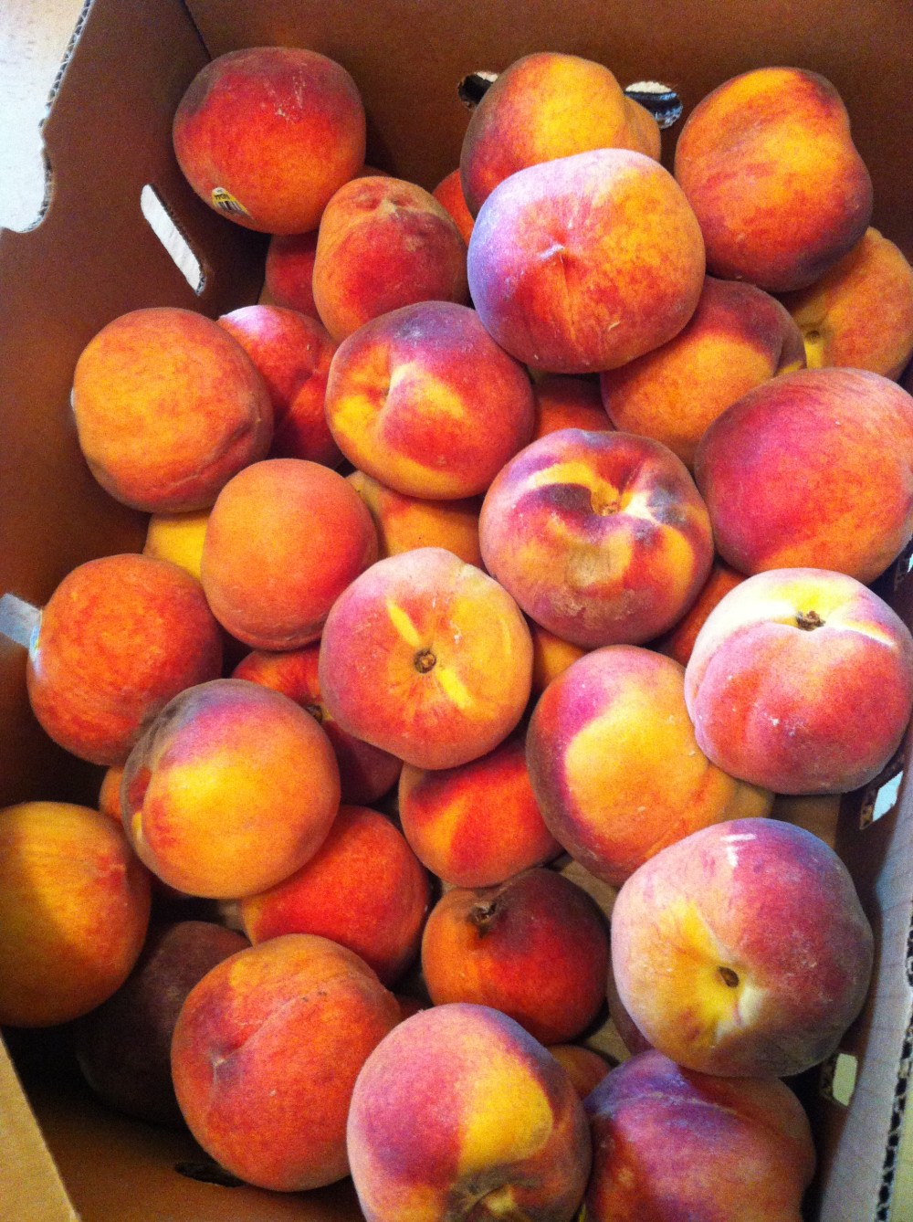 Dominguez Canyon organic peaches